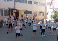 img (4)